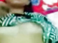 Malaio-peituda tímidos tímidos gato